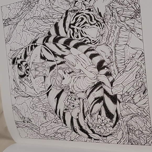 Wild Winter Mythographic Colour and Discover Colouring Book - Picture 5 of 5